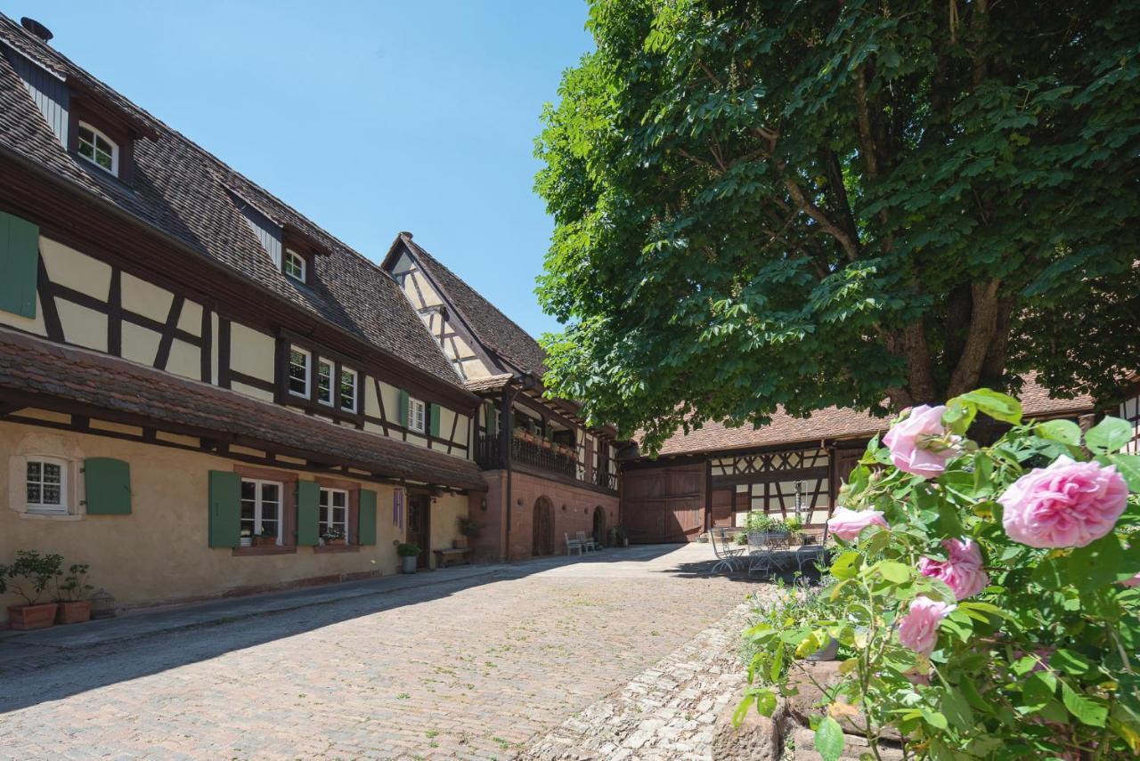 Imbsheim Au Fil Du Temps Bed & Breakfast エクステリア 写真