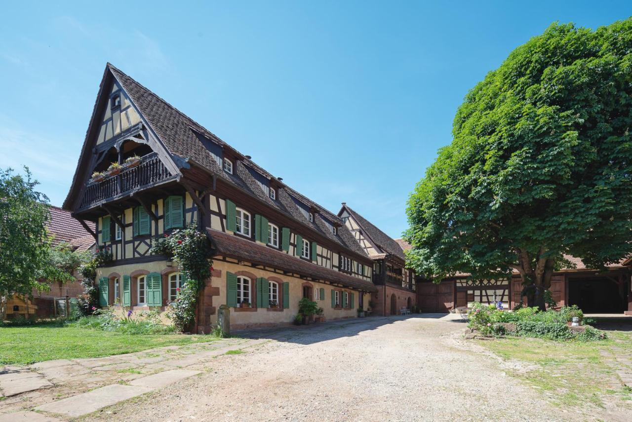 Imbsheim Au Fil Du Temps Bed & Breakfast エクステリア 写真
