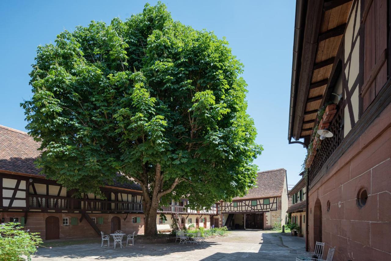Imbsheim Au Fil Du Temps Bed & Breakfast エクステリア 写真