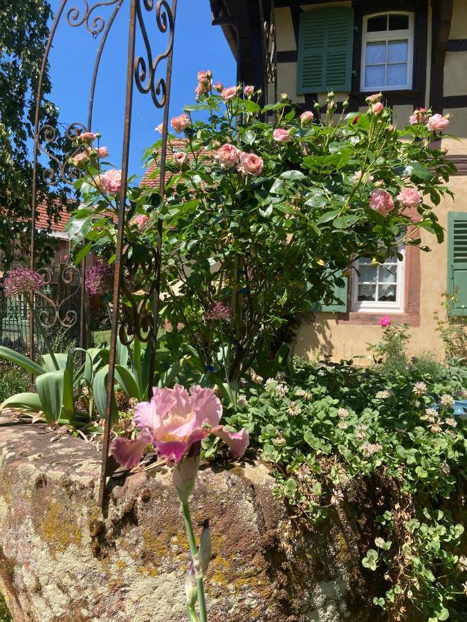 Imbsheim Au Fil Du Temps Bed & Breakfast エクステリア 写真